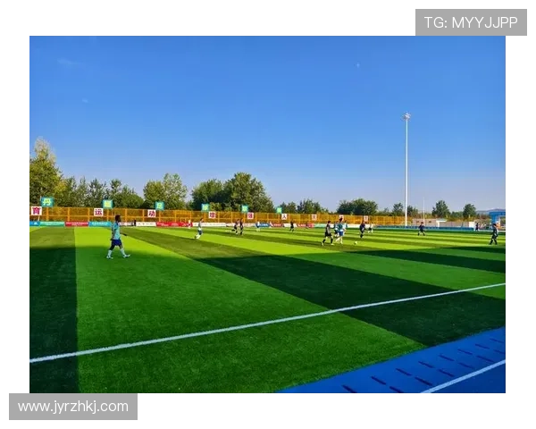 世界足球盛宴激战正酣 各队精彩表现引球迷热议 - 副本